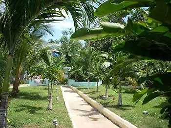 Eddies Tigress 2 Negril 3*,
